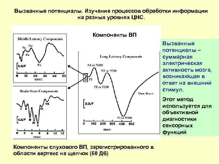 Вызванный исследования. Метод вызванных потенциалов (ВП). Вызванные потенциалы мозга метод исследования. Вызванные потенциалы. Компоненты ВП.. Метод регистрации вызванных потенциалов.