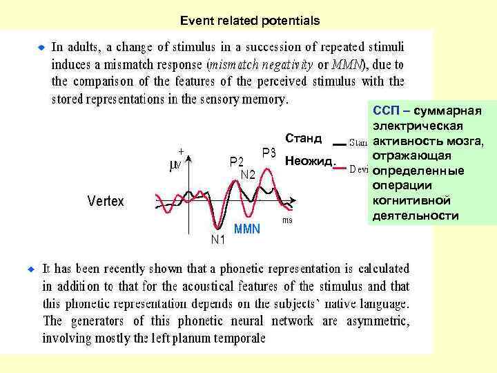 Event related potentials Станд Неожид. ССП – суммарная электрическая активность мозга, отражающая определенные операции