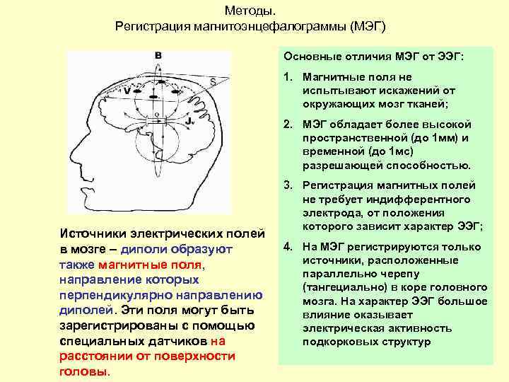 Методы. Регистрация магнитоэнцефалограммы (МЭГ) Основные отличия МЭГ от ЭЭГ: 1. Магнитные поля не испытывают