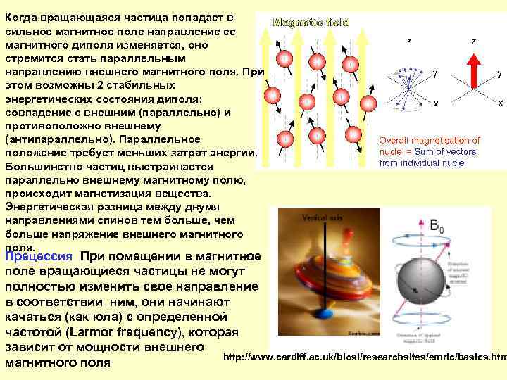 Когда вращающаяся частица попадает в сильное магнитное поле направление ее магнитного диполя изменяется, оно