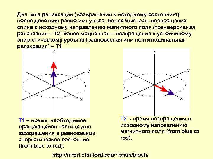 Два типа релаксации (возвращения к исходному состоянию) после действия радио-импульса: более быстрая -возвращение спина