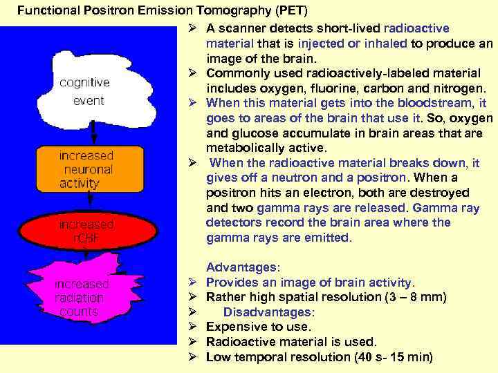 Functional Positron Emission Tomography (PET) Ø A scanner detects short-lived radioactive material that is