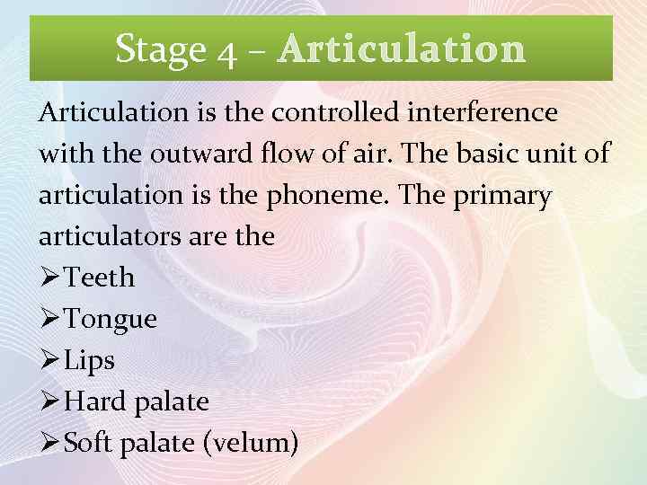 Stage 4 – Articulation is the controlled interference with the outward flow of air.