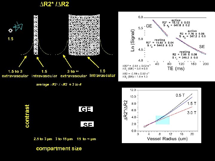 contrast GE SE 2. 5 to 3 µm 3 to 15 µm 15 to