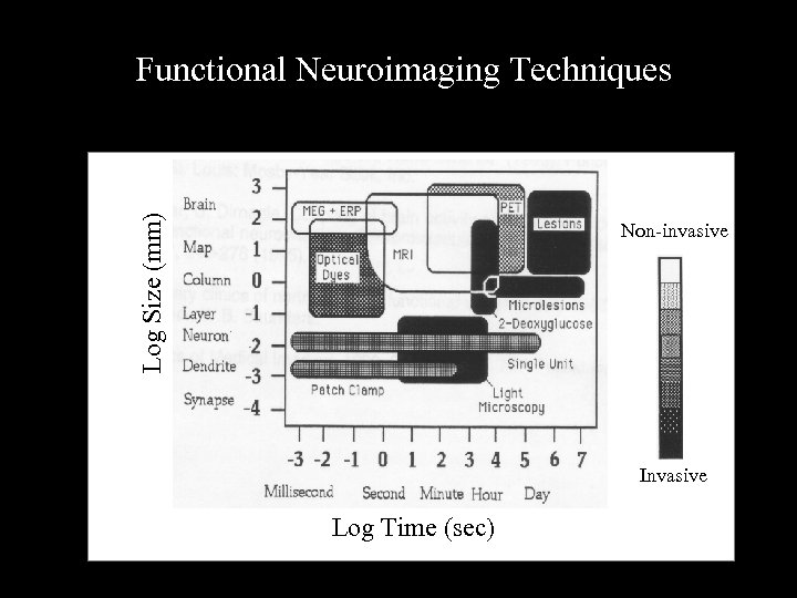 Log Size (mm) Functional Neuroimaging Techniques Non-invasive Invasive Log Time (sec) 