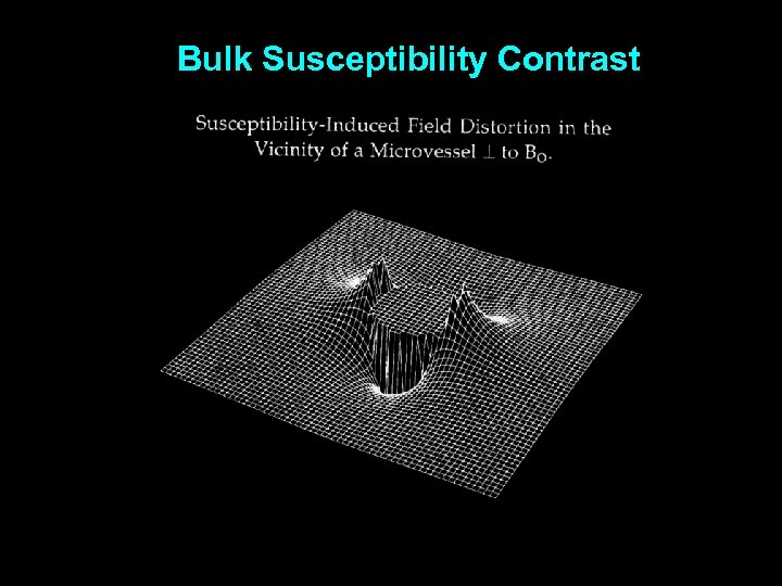 Bulk Susceptibility Contrast 