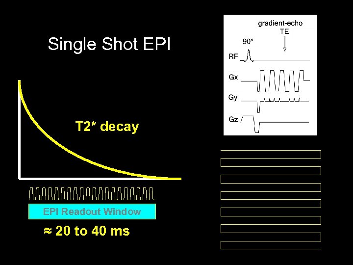 Single Shot EPI T 2* decay EPI Readout Window ≈ 20 to 40 ms