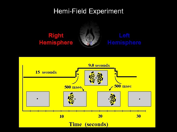 Hemi-Field Experiment Right Hemisphere Left Hemisphere 9. 0 seconds 15 seconds 500 msec 10