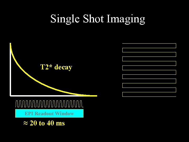 Single Shot Imaging T 2* decay EPI Readout Window ≈ 20 to 40 ms