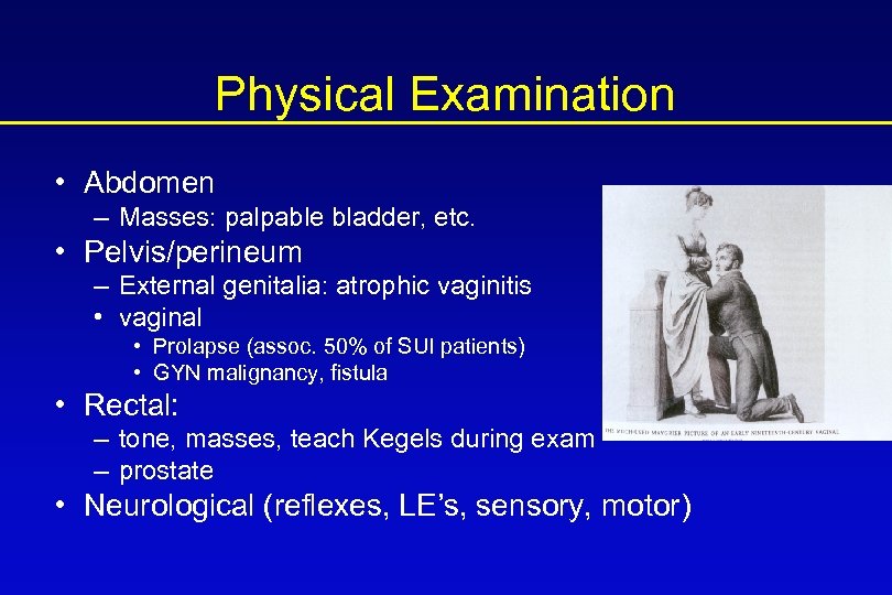 Physical Examination • Abdomen – Masses: palpable bladder, etc. • Pelvis/perineum – External genitalia: