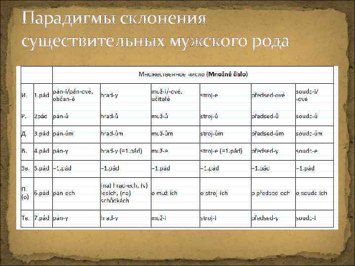 Слова на н мужского рода. Парадигма склонения существительных. Склонения в чешском языке.