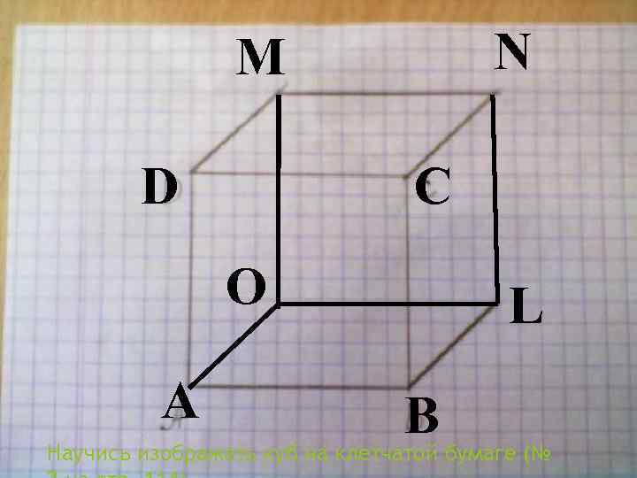 D M 5 см M D А A C C 5 см D N