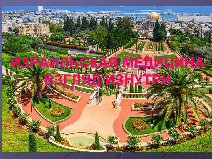 ИЗРАИЛЬСКАЯ МЕДИЦИНА ВЗГЛЯД ИЗНУТРИ 