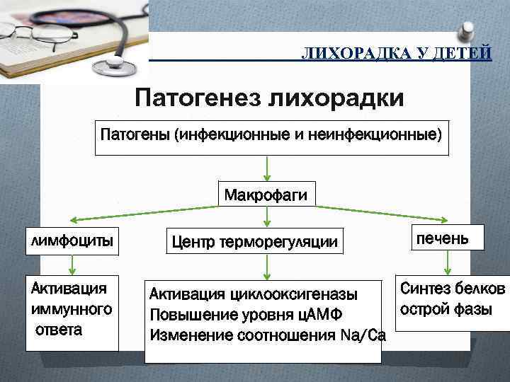 Схема патогенеза лихорадки