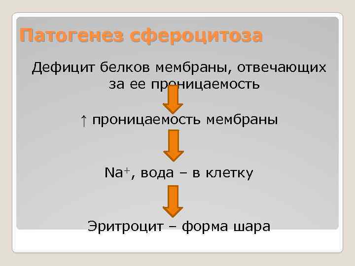 Патогенез сфероцитоза Дефицит белков мембраны, отвечающих за ее проницаемость ↑ проницаемость мембраны Na+, вода