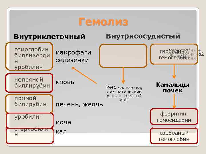 Гемолиз Внутриклеточный Внутрисосудистый гемоглобин макрофаги билливерди селезенки н уробилин непрямой кровь биллирубин прямой билирубин