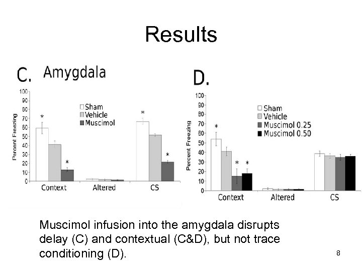 Results Muscimol infusion into the amygdala disrupts delay (C) and contextual (C&D), but not