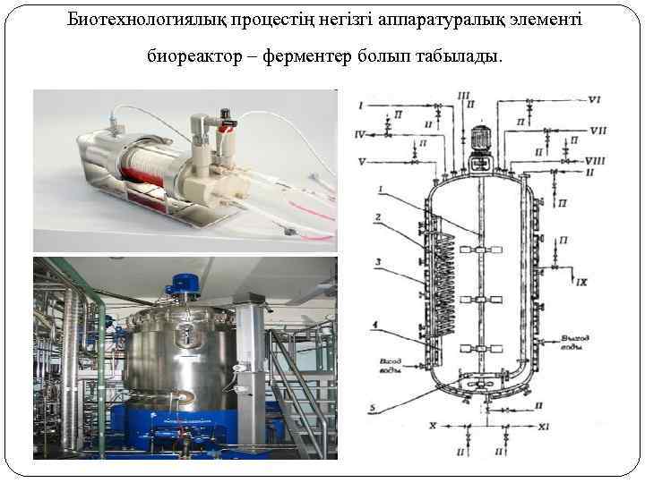 Биотехнологиялық процестің негізгі аппаратуралық элементі биореактор – ферментер болып табылады. 