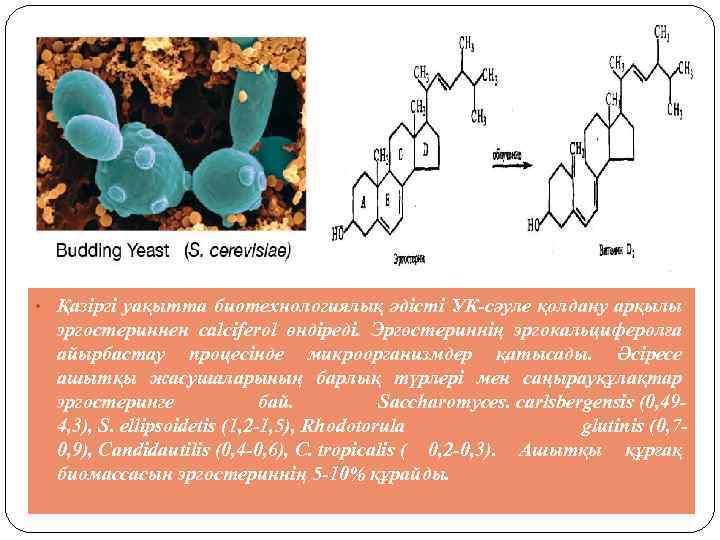  • Қазіргі уақытта биотехнологиялық әдісті УК-сәуле қолдану арқылы эргостериннен calciferol өндіреді. Эргостериннің эргокальциферолға