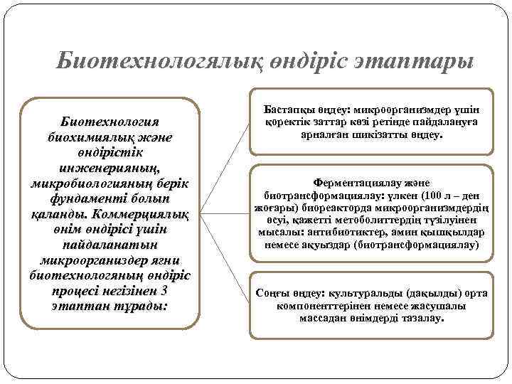 Биотехнологялық өндіріс этаптары Биотехнология биохимиялық және өндірістік инженерияның, микробиологияның берік фундаменті болып қаланды. Коммерциялық