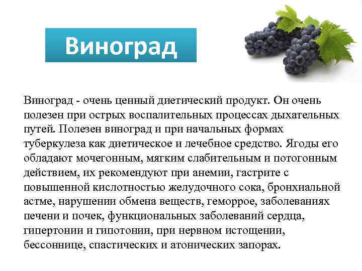 Виноград - очень ценный диетический продукт. Он очень полезен при острых воспалительных процессах дыхательных