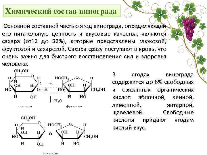 Химический состав винограда Основной составной частью ягод винограда, определяющей его питательную ценность и вкусовые