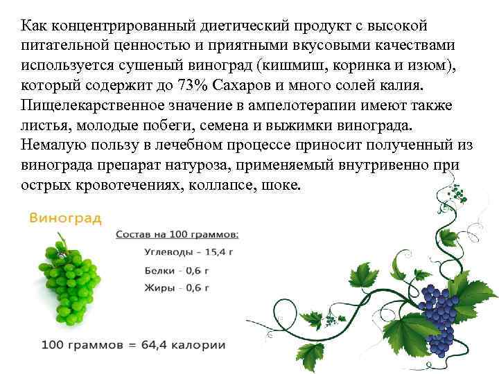 Как концентрированный диетический продукт с высокой питательной ценностью и приятными вкусовыми качествами используется сушеный