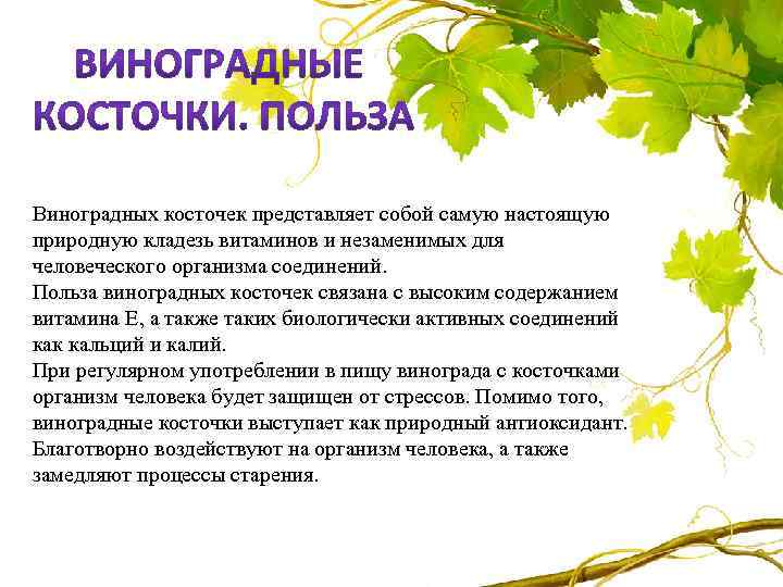 Виноградных косточек представляет собой самую настоящую природную кладезь витаминов и незаменимых для человеческого организма