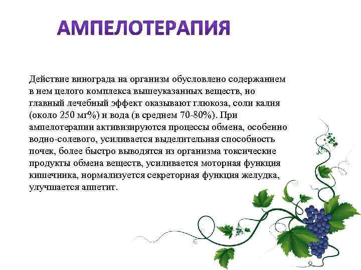 Действие винограда на организм обусловлено содержанием в нем целого комплекса вышеуказанных веществ, но главный