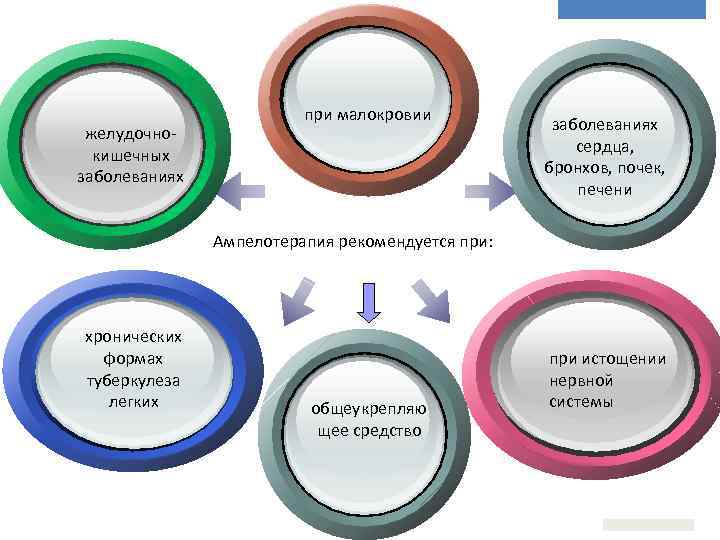 желудочнокишечных заболеваниях при малокровии заболеваниях сердца, бронхов, почек, печени Ампелотерапия рекомендуется при: хронических формах