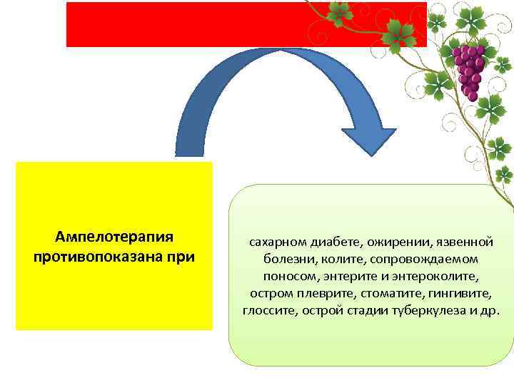  Ампелотерапия противопоказана при сахарном диабете, ожирении, язвенной болезни, колите, сопровождаемом поносом, энтерите и