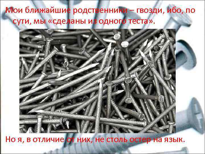 Мои ближайшие родственники – гвозди, ибо, по сути, мы «сделаны из одного теста» .