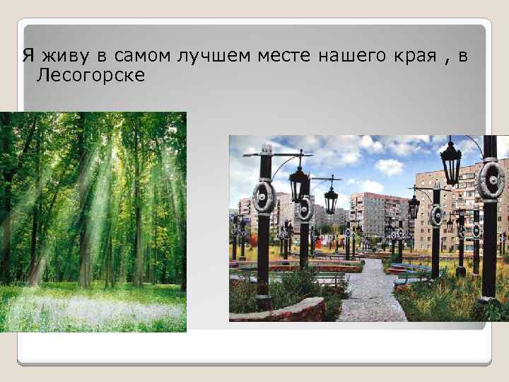 Я живу в самом лучшем месте нашего края , в Лесогорске 