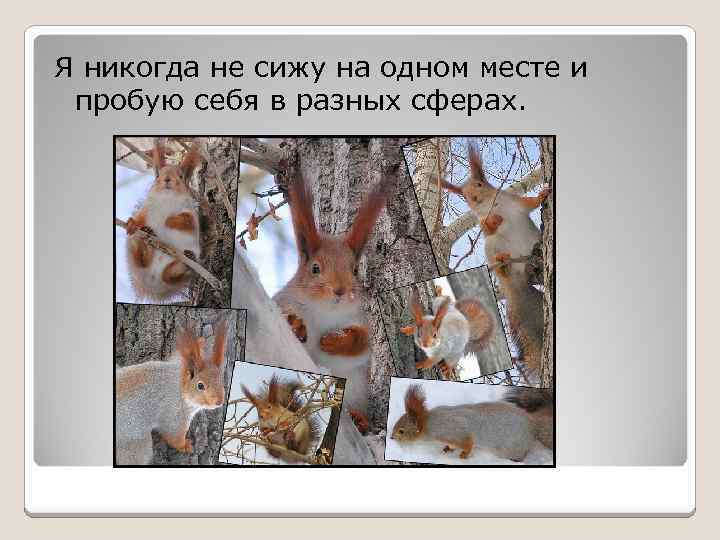 Я никогда не сижу на одном месте и пробую себя в разных сферах. 