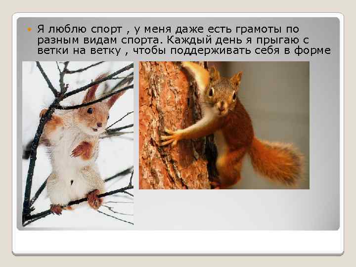  Я люблю спорт , у меня даже есть грамоты по разным видам спорта.