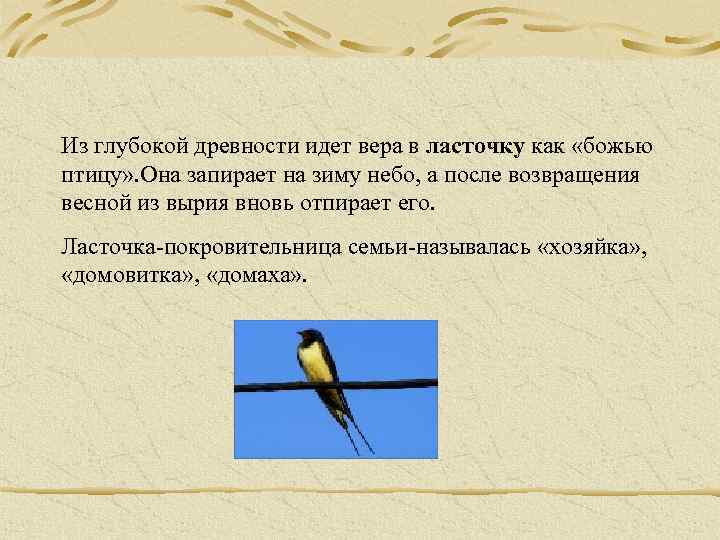 Из глубокой древности идет вера в ласточку как «божью птицу» . Она запирает на