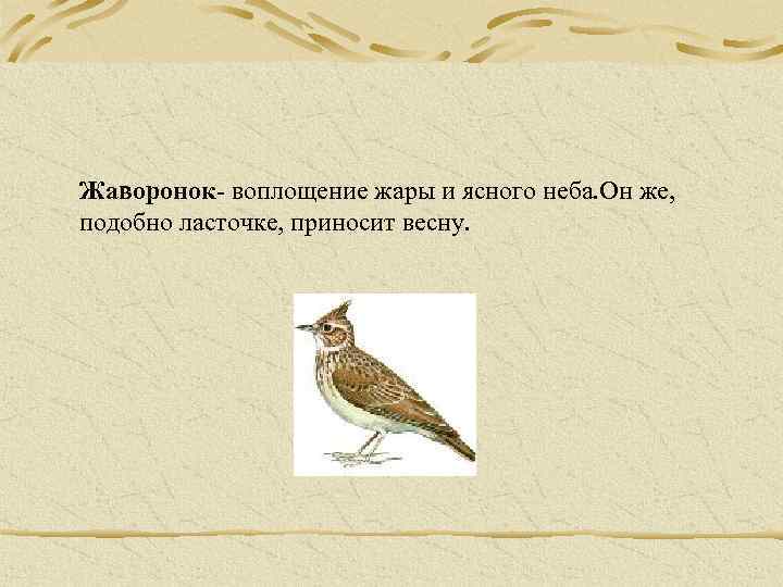 Жаворонок- воплощение жары и ясного неба. Он же, подобно ласточке, приносит весну. 