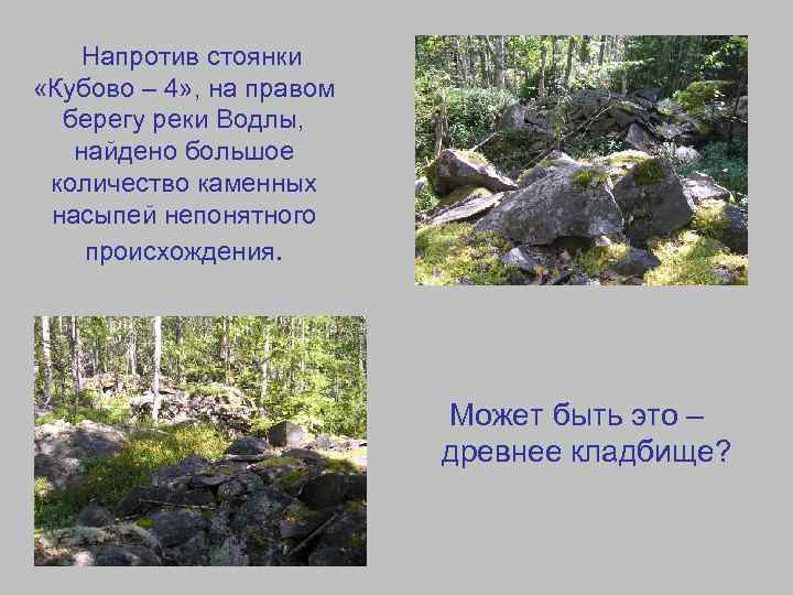 Напротив стоянки «Кубово – 4» , на правом берегу реки Водлы, найдено большое количество