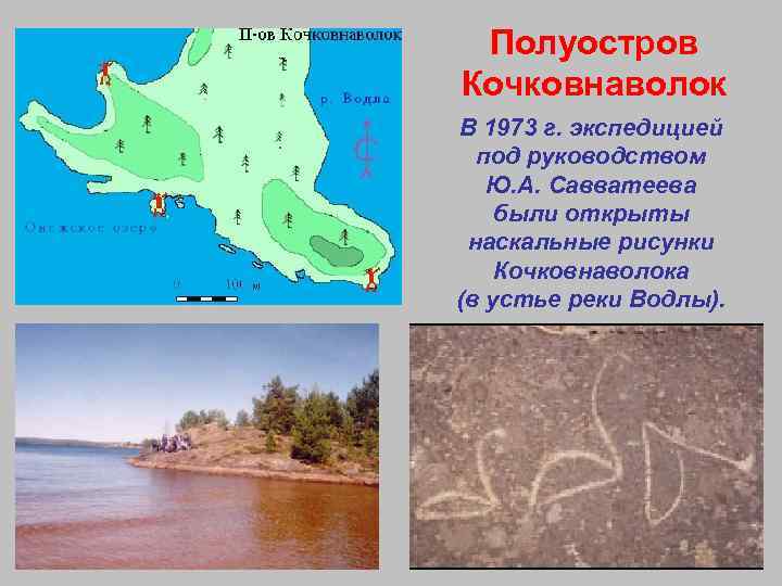 Полуостров Кочковнаволок В 1973 г. экспедицией под руководством Ю. А. Савватеева были открыты наскальные