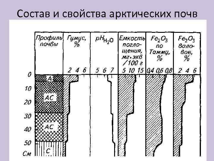 Состав и свойства арктических почв 