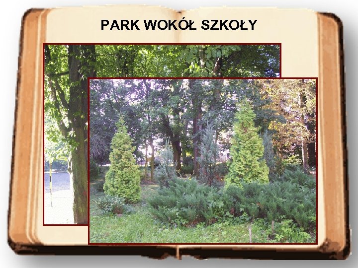 PARK WOKÓŁ SZKOŁY 