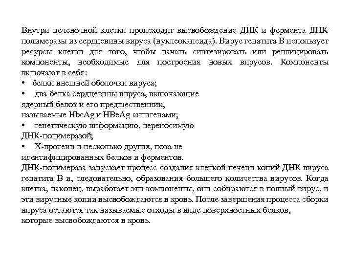 Внутри печеночной клетки происходит высвобождение ДНК и фермента ДНКполимеразы из сердцевины вируса (нуклеокапсида). Вирус