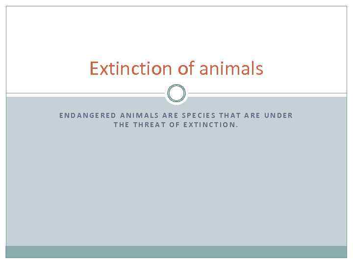 Extinction of animals ENDANGERED ANIMALS ARE SPECIES THAT ARE UNDER THE THREAT OF EXTINCTION.