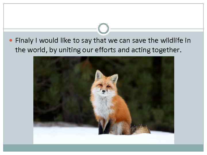  Finaly I would like to say that we can save the wildlife in