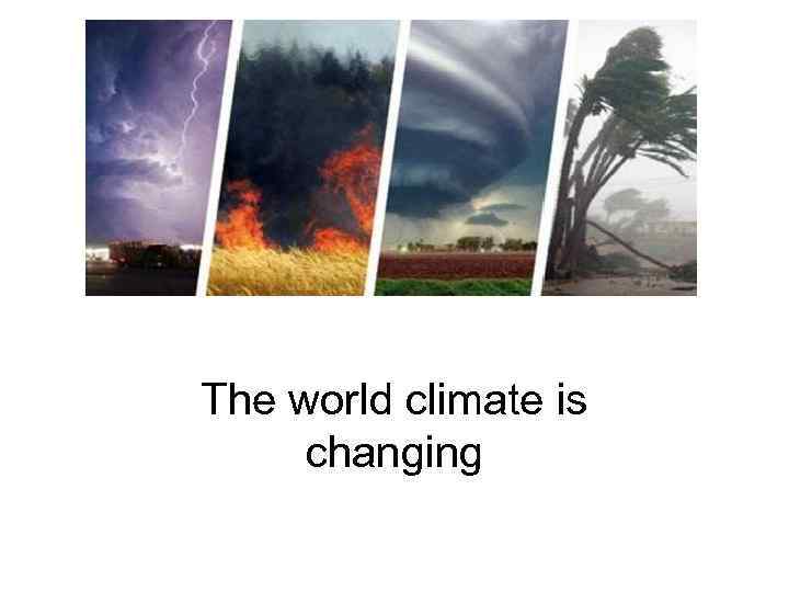 The world climate is changing 