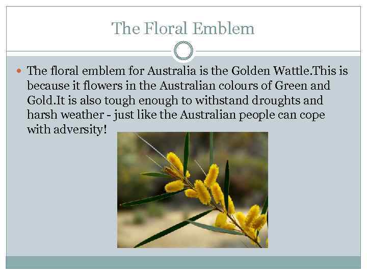 The Floral Emblem The floral emblem for Australia is the Golden Wattle. This is