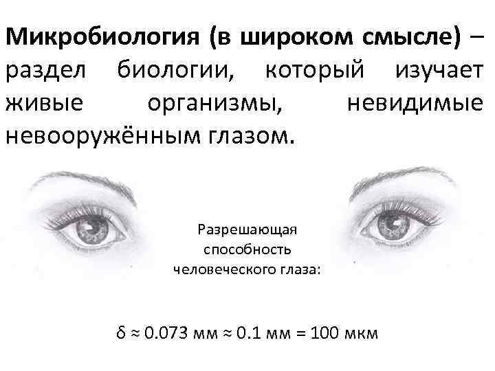 Микробиология (в широком смысле) – раздел биологии, который изучает живые организмы, невидимые невооружённым глазом.