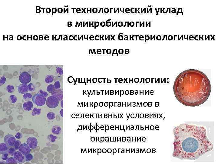 Второй технологический уклад в микробиологии на основе классических бактериологических методов Сущность технологии: культивирование микроорганизмов