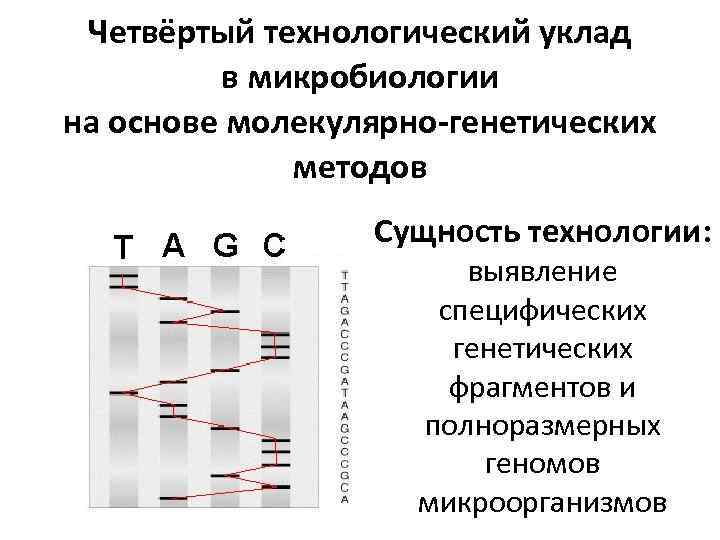 Четвёртый технологический уклад в микробиологии на основе молекулярно-генетических методов Сущность технологии: выявление специфических генетических