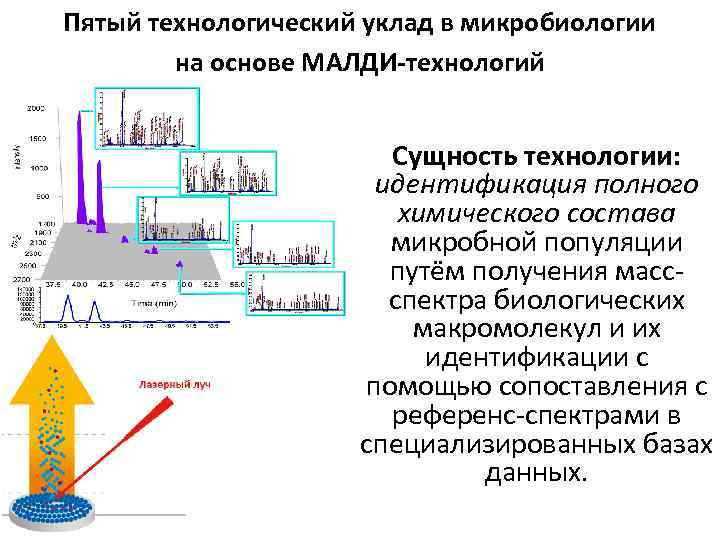 Пятый технологический уклад в микробиологии на основе МАЛДИ-технологий Сущность технологии: идентификация полного химического состава